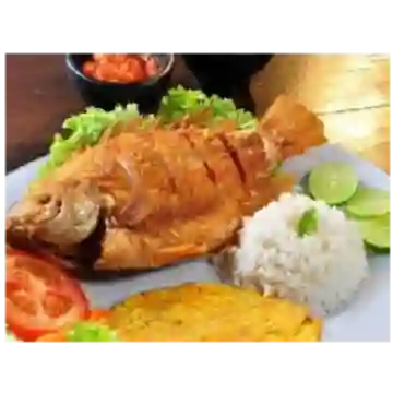 Mojarra