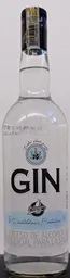 Bartender Licor Gin