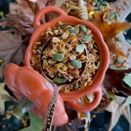 Granola Pumpkin