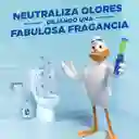 Pato Limpiador Baños Discos Activos Cítrico 36 ml con un aplicador