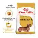 Royal Canin Dachshund Tekel Salchicha Adult 1.5 Kg