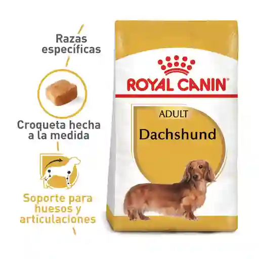 Royal Canin Raza Salud Nutrición Dachshund Adulto