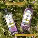 Herbal Essences Bio Renew Rosemary & Herbs Shampoo