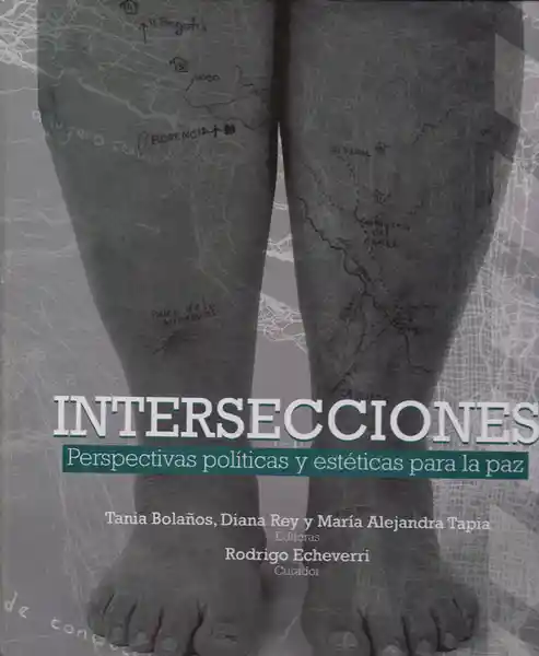 Intersecciones Perspectivas Políticas y Estéticas - VV.AA