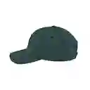 Gorra Republic Olive Everlast