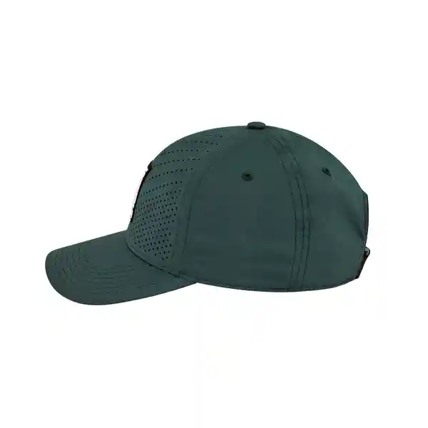 Gorra Republic Olive Everlast