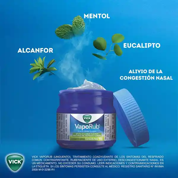 Vick VapoRub Ungüento Ayuda a calmar algunos síntomas del resfriado común con mentol eucalipto y alcanfor Tarro con 100g