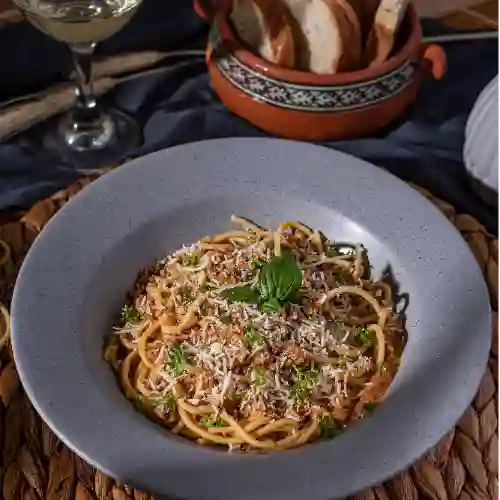Bolognesa