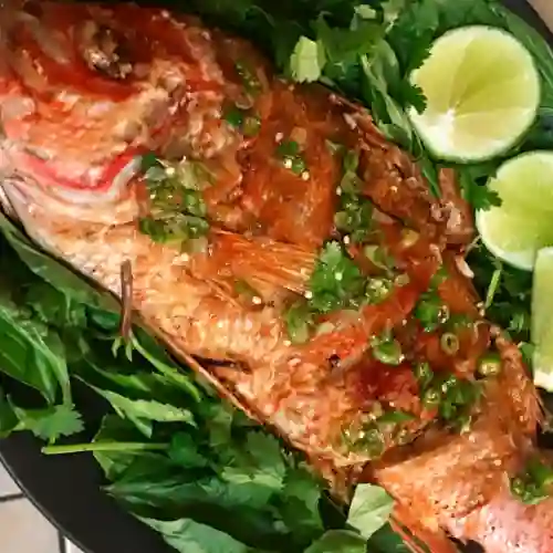 Robalo en Finas Hierbas