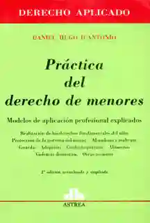 Práctica del derecho de menores. Modelos de aplicación profesional explicados
