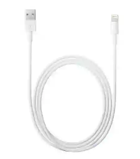 Apple Cable Lightning a Usb Original 2 m