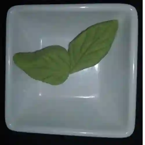 Wasabi