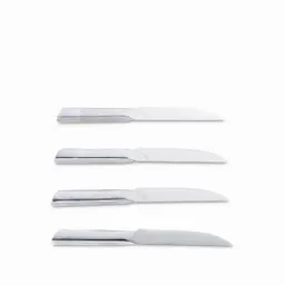 Set Cuchillo Para Carnes en Acero Ambiente Gourmet