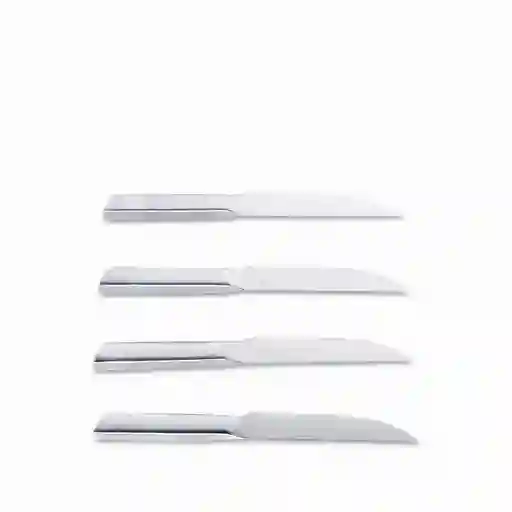 Set Cuchillo Para Carnes en Acero Ambiente Gourmet