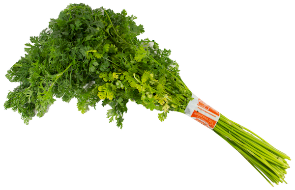 Cilantro aprox. 150 g