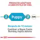 Royal Canin Breed Health Nutrition Bulldog Puppy 12Kg