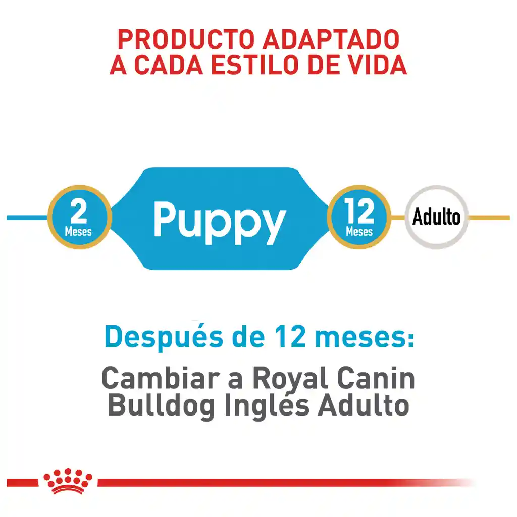 Royal Canin Breed Health Nutrition Bulldog Puppy 12Kg