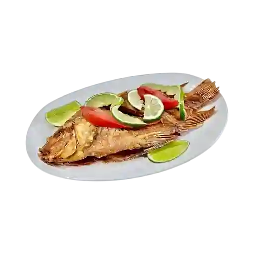 Tilapia Frita