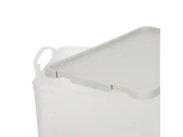 Caja Con Tapa Plástica 12 L Casaideas