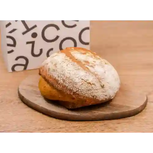 Masa Madre