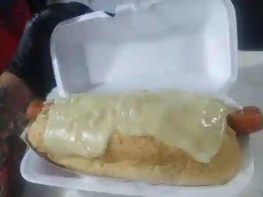Perro Ranchero