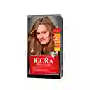 Igora Tinte Brillance Rubio Luminoso 80 100 mL