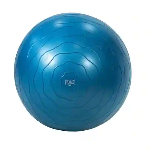 Bola Gimnasia Yoga 65 cm Everlast
