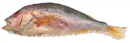 Pargo Rojo Entero