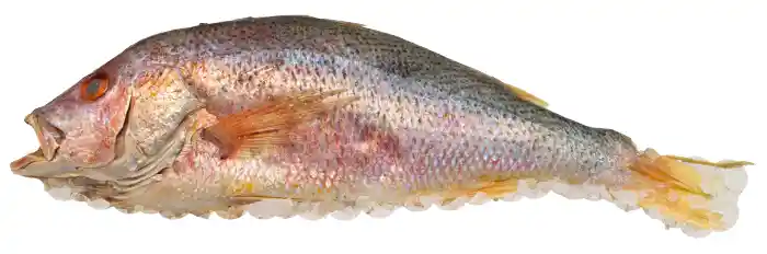 Pargo Rojo Entero