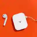 Estuche Para Airpods Osos Escandalosos Oso Polar Miniso