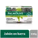 Palmolive Jabón en Barra Carbón