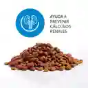 Mirringo Alimento para Gatos Adultos Original