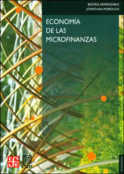 Economía de Las Microfinanzas - VV.AA