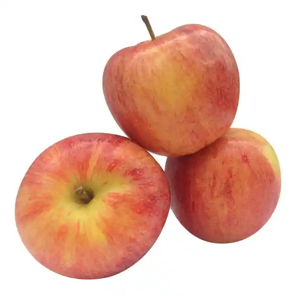 Manzana Gala