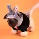 Gorro Para Mascota Zootopia Judy Serie Disney Animals Miniso