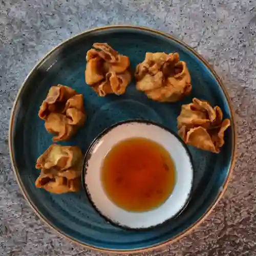 Wontons de Pollo