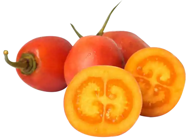 Tomate de Árbol