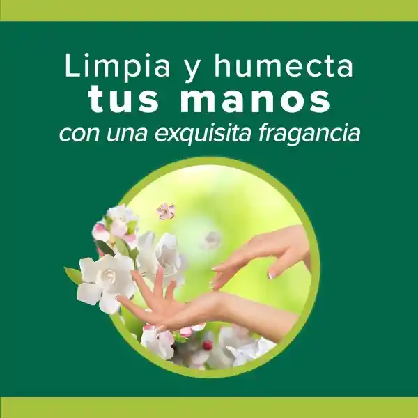 Jabón Liquido Manos Palmolive Manzana