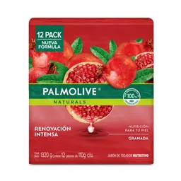 Jabón Palmolive Granada en barra 8x110g