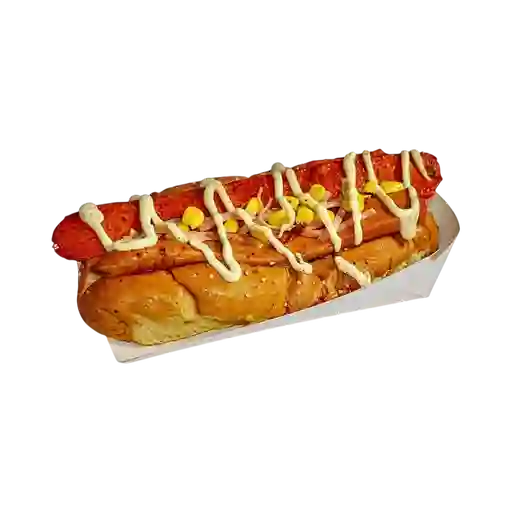 Perro Mixto Chori Suizo