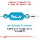 Royal Canin Alimento Para Perro Pug Puppy 1.13 Kg