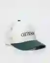 Gorra Establish Unisex Verde Taupo Oscuro T. S Chevignon