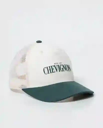 Gorra Establish Unisex Verde Taupo Oscuro T. S Chevignon