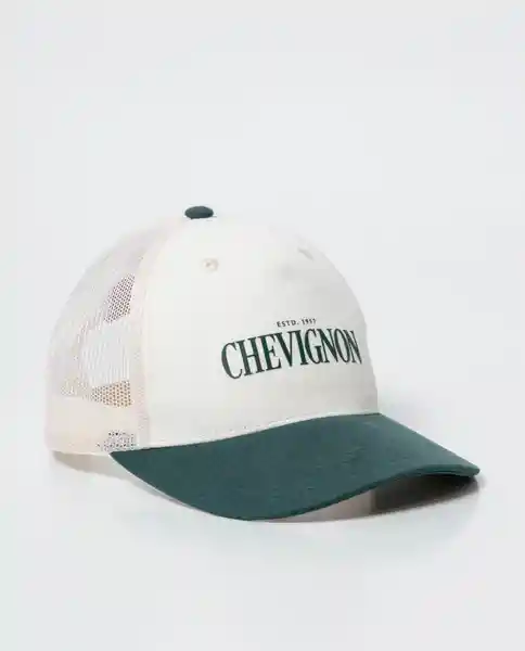 Gorra Establish Unisex Verde Taupo Oscuro T. S Chevignon