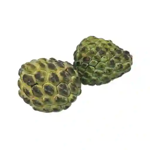 Espaldilla / Palomilla