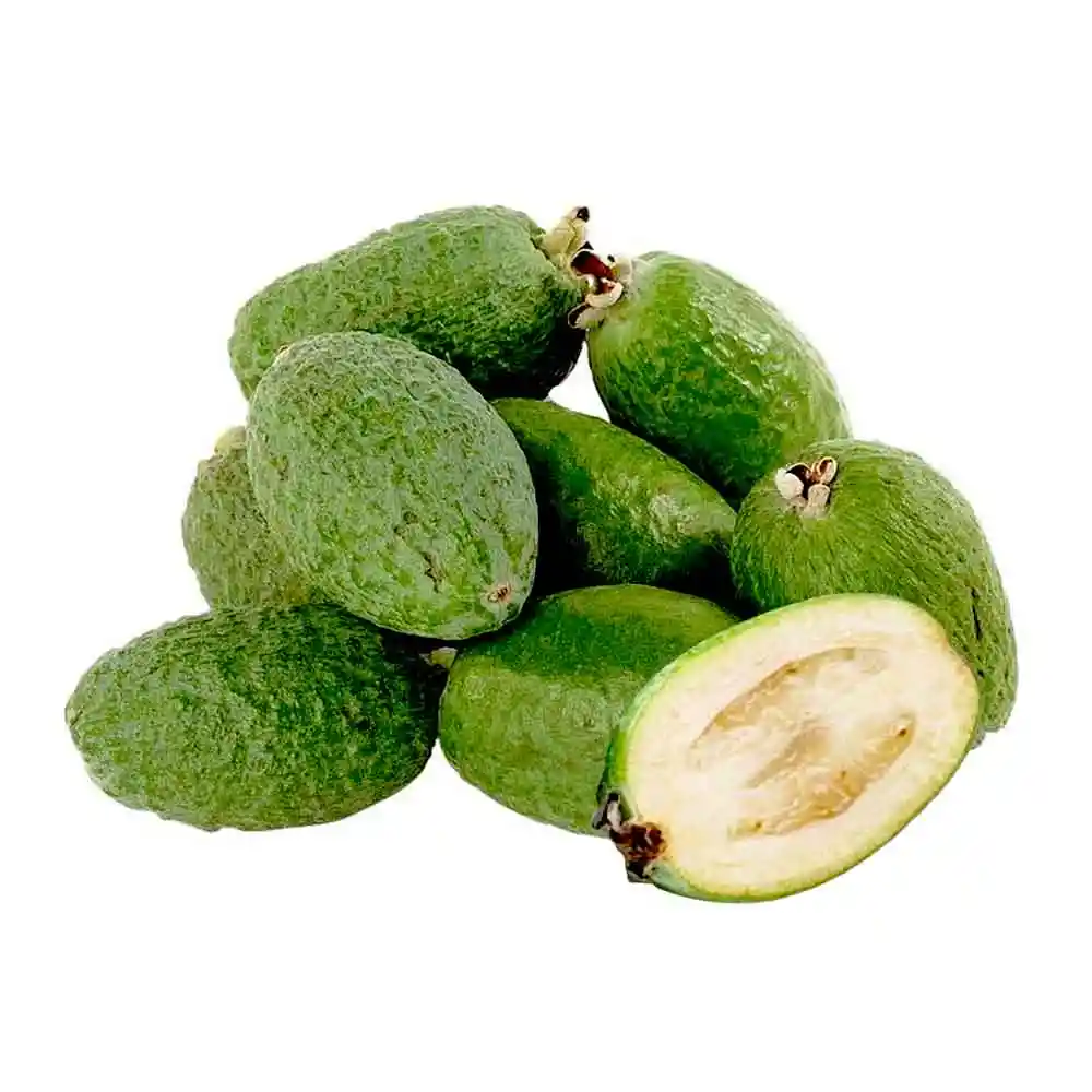 Feijoa Extra