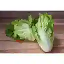 Members Selection Lechuga Romana - Pricesmart