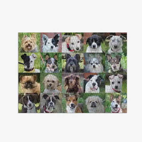 Galison Rompecabezas Rescue Dogs 99 x 35.4 cm