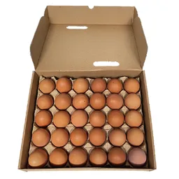 Huevos Campesinos Aaa Caja Biodegradable