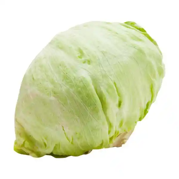 Lechuga Batavia